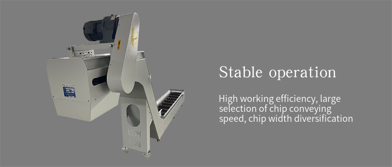 Professional Custom Chain Plate Chip Conveyor for CNC Machine Tool