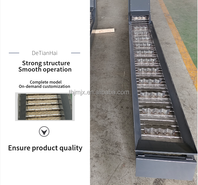 Detianhai Customized Waste Chain Plate Conveyor Line Machine